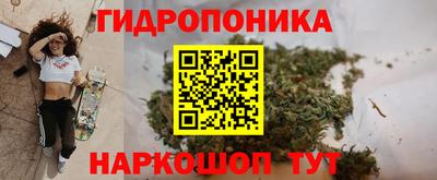 индика Краснознаменск