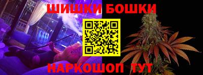 индика Краснознаменск