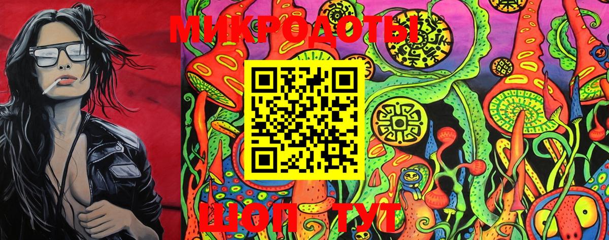 Галлюциногенные грибы Psilocybine cubensis Усинск